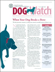 DogWatch Magazine