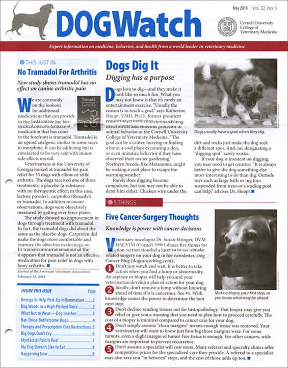 DogWatch Magazine