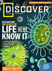 Discover