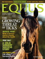 Equus Magazine