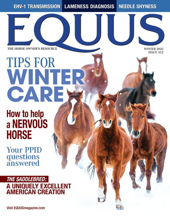 Equus Magazine