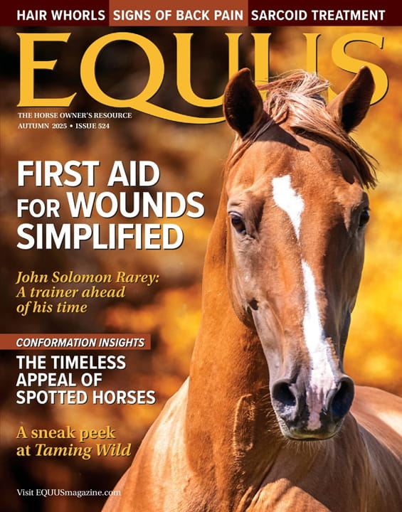 Equus Magazine