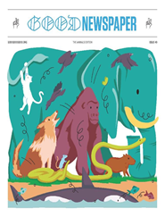 Goodnewspaper-Digital Magazine