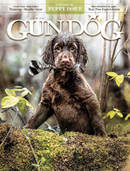 Gun Dog-Digital Magazine