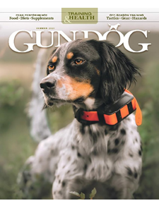 Gun Dog-Digital Magazine