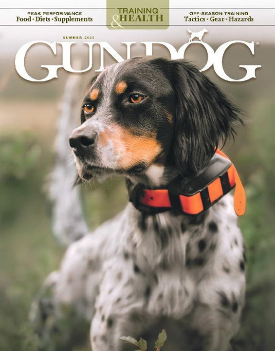 Gun Dog-Digital Magazine