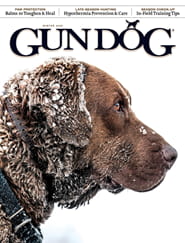 Gun Dog-Digital Magazine
