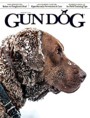 Gun Dog-Digital Magazine