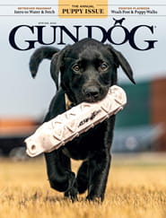 Gun Dog-Digital Magazine