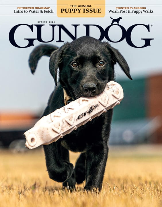 Gun Dog-Digital Magazine