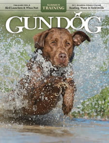 Gun Dog-Digital Magazine