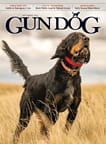 Gun Dog-Digital