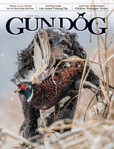 Gun Dog-Digital Magazine
