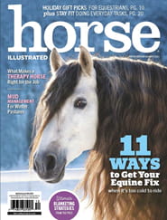 Horse Illustrated Magazine