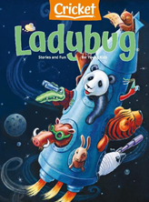 Ladybug Magazine