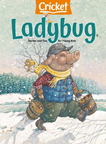 Ladybug