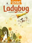Ladybug