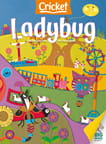 Ladybug