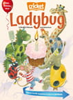 Ladybug