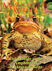 Massachusetts Wildlife Magazine