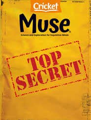 Muse Magazine