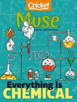 Muse Magazine