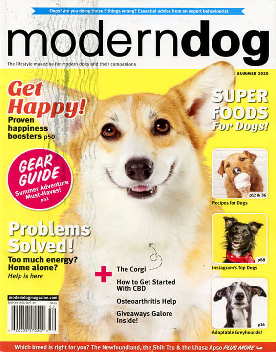 Modern Dog Magazine