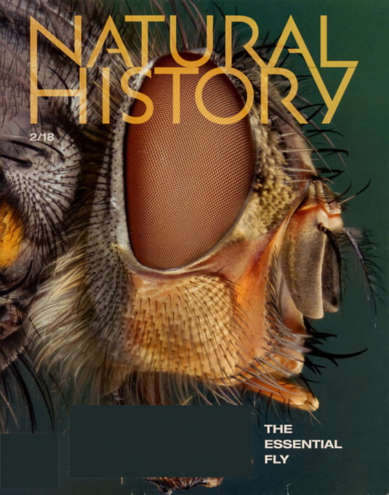 Natural History Magazine Natural History Magazine Subscription