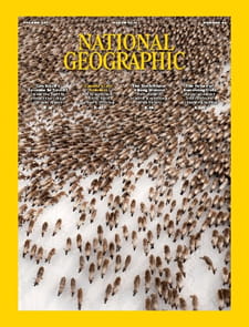 National Geographic - Digital Magazine