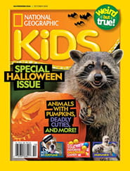 National Geographic Kids Magazine Subscription Magazineline