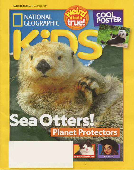 Start a Reservation visual data 2