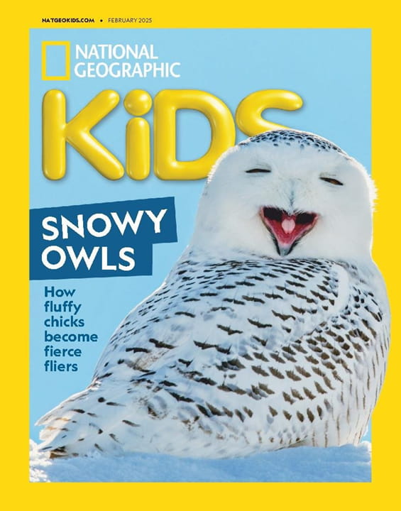 NATIONAL GEOGRAPHIC MAGAZINE FOR YOUTH visual data 6