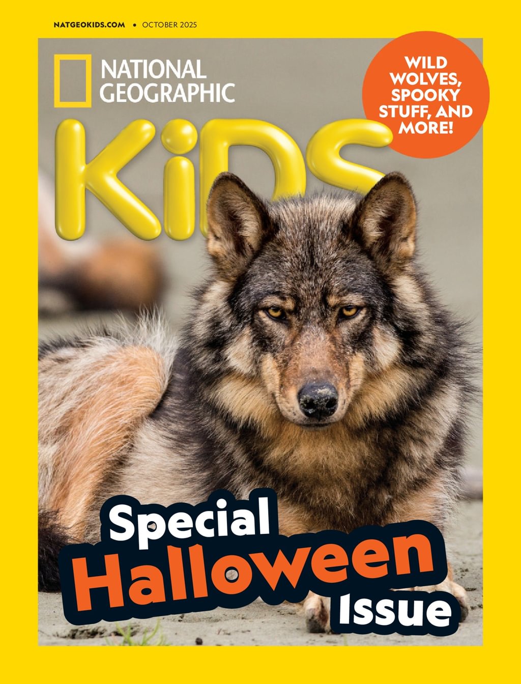 最新NATIONAL GEOGRAPHIC KIDS レベル1 National Geographic Kids - Weird But True! 2023 :HarperCollins