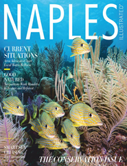 Naples Illustrated Magazine