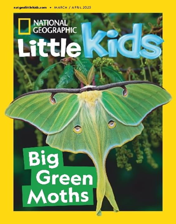 NATIONAL GEOGRAPHIC LITTLE KIDS MAGAZINE EXAMPLE visual data 2