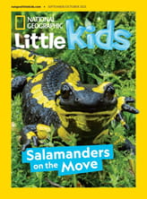 National Geographic Little Kids Magazine