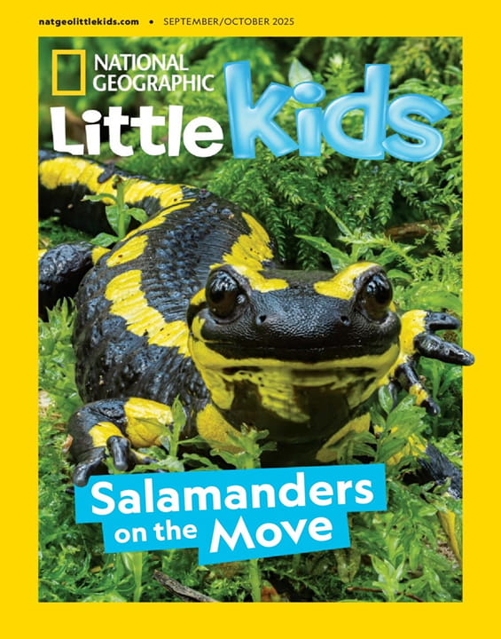 National Geographic Little Kids Magazine