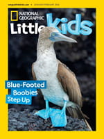 National Geographic Little Kids Magazine