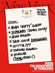 New York Magazine Subscription