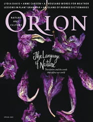 Orion-Digital Magazine
