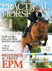 Practical Horseman