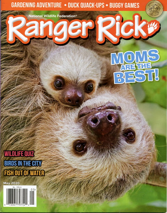 Ranger Rick Magazine