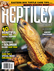 Reptiles Magazine