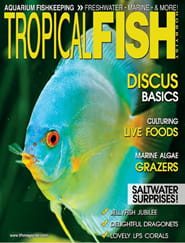 Fish hobbyist 2025