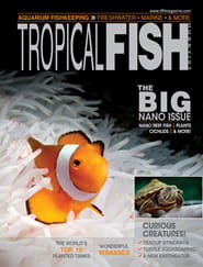 Tropical Fish Hobbyist Magazine