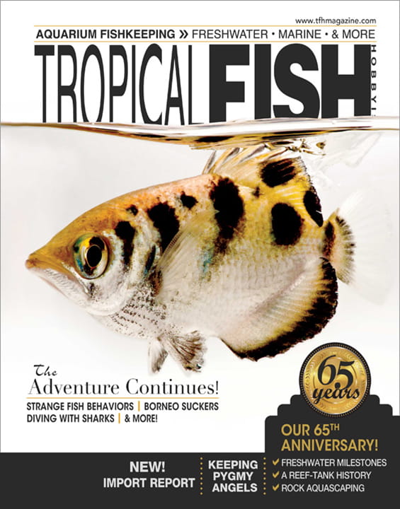 Tropical Fish Hobbyist Magazine