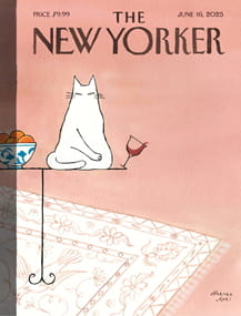 The New Yorker Magazine Subscription