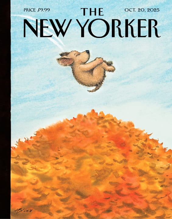 The New Yorker Magazine