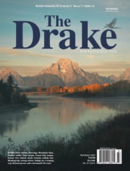 The Drake-Digital Magazine
