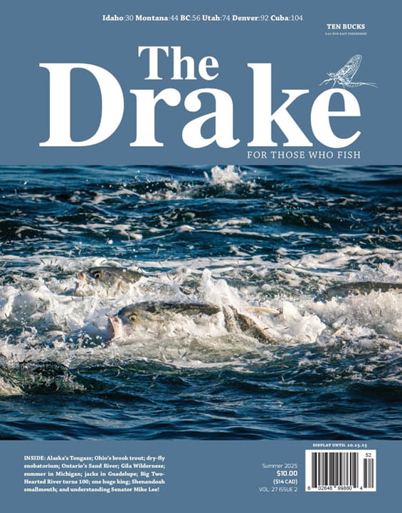 The Drake-Digital Magazine